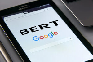 bert algorithm and search engine