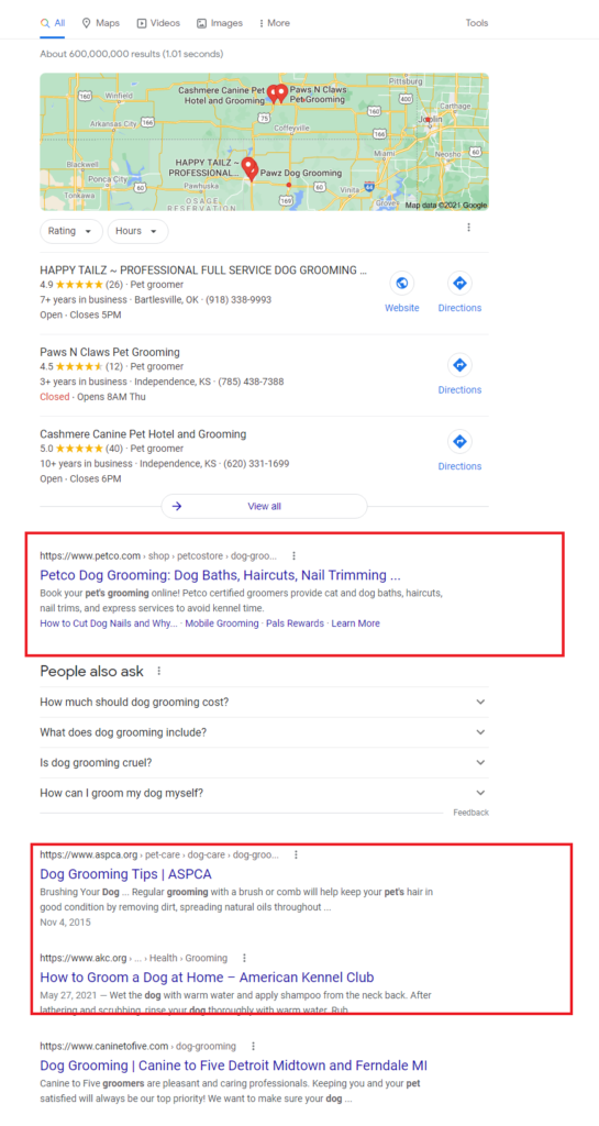 Example of Google Search intent with search results for keyword, How to groom your dog