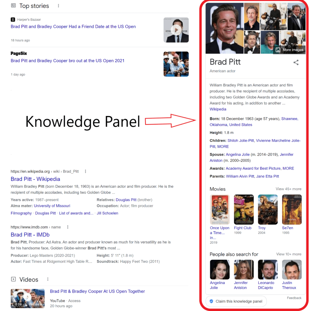 Google Knowledge Panel, What Is It And How Does It Work